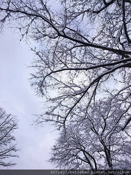 迷妹首訪札幌--札幌駅 北海道大學 ▷ 札幌站 北海道大學散