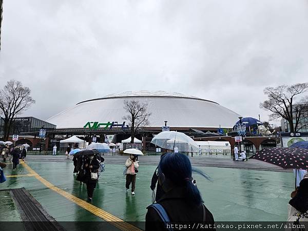 迷妹重返東京--Super Junior World Tou