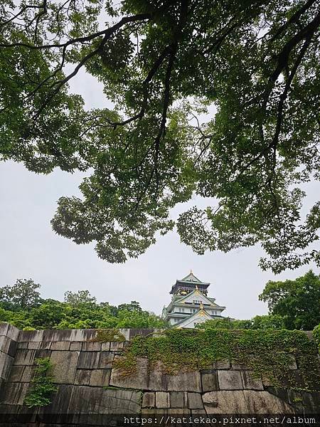 京阪親子遊--大阪 大阪城