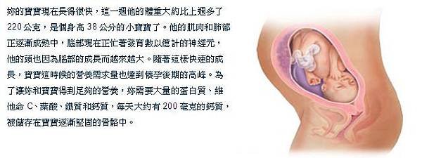 28週.JPG