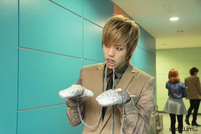 dw-glove.jpg