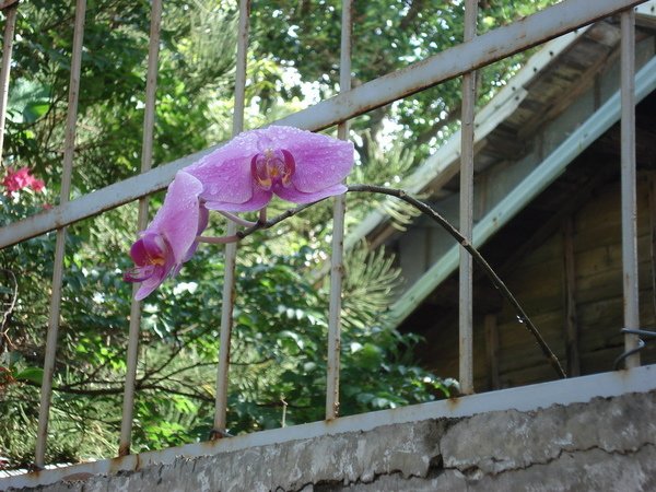 Backpacker trip090610_ 49.JPG