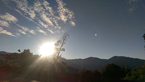 IMAG0045.jpg