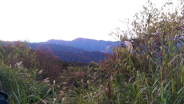 IMAG0032.jpg