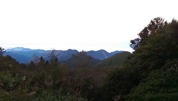 IMAG0037.jpg