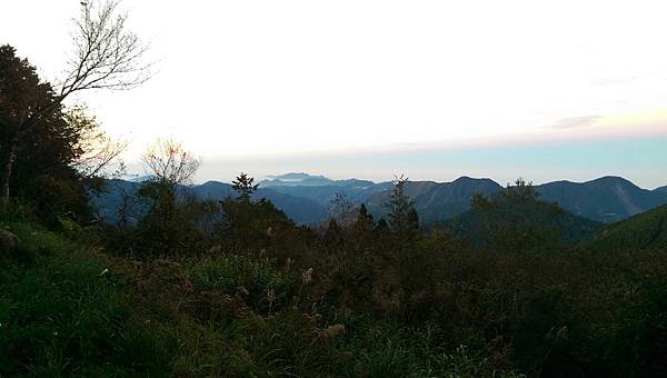 IMAG0038.jpg
