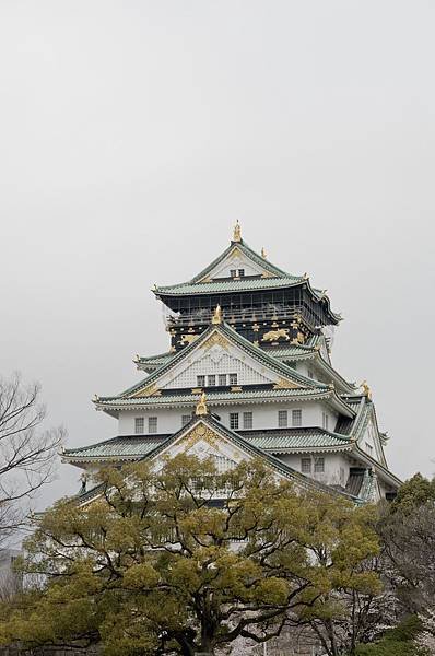 DSC_5671