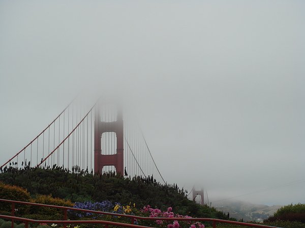 DSC05222.JPG
