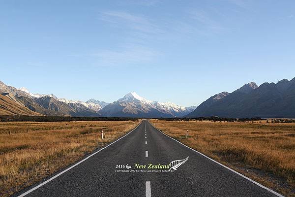 NZ_7f