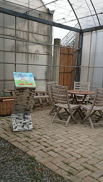 171111-苑裡稻田彩繪 (7).JPG