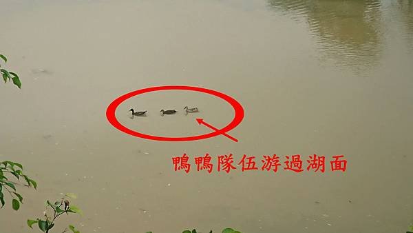 20200527-綠光水岸 (15).JPG