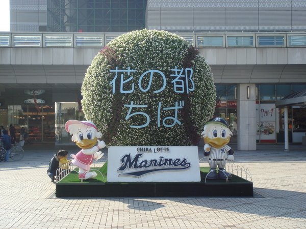 DSC01163.JPG