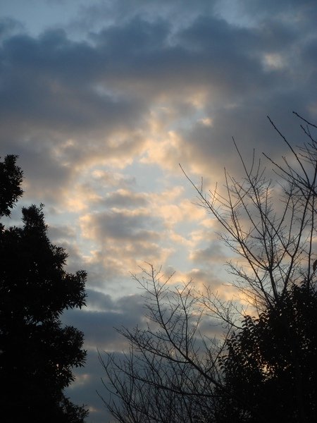 DSC01496.JPG