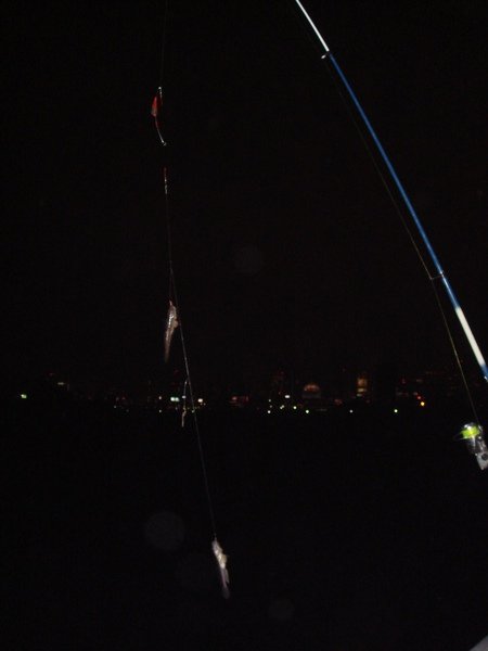DSC01664.JPG