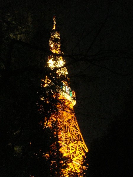 DSC00101.JPG