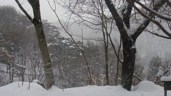 DSC05557.JPG