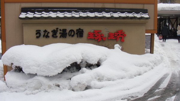 DSC05565.JPG