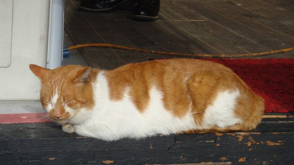 DSC05615.JPG