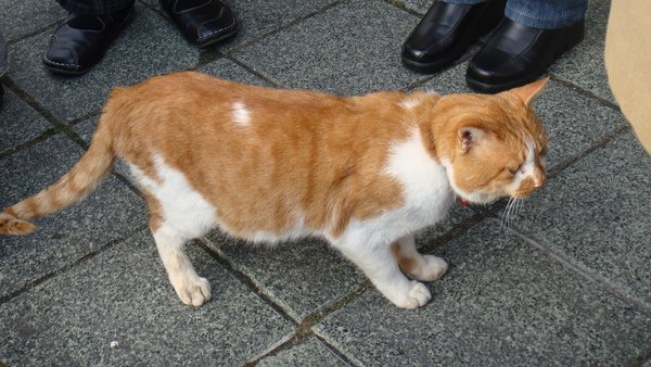 DSC05622.JPG