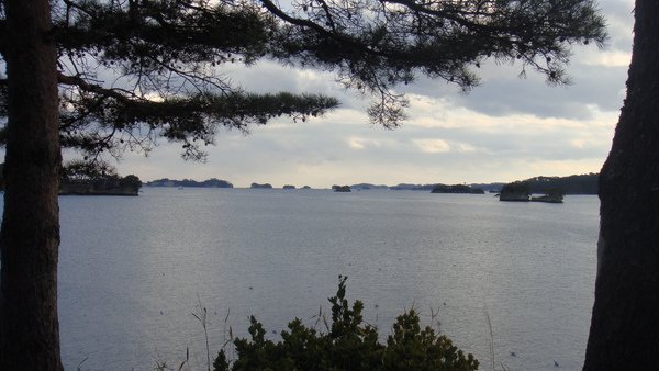 DSC05644.JPG