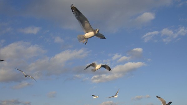 DSC05792.JPG
