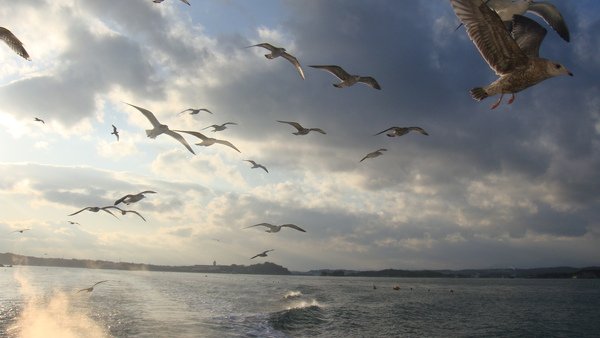 DSC05833.JPG