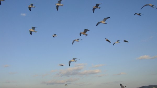 DSC05856.JPG