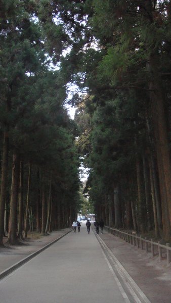 DSC05870.JPG