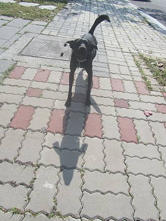 IMG_7895.JPG