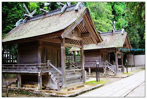 求姻緣日本五大月老神社/神道/八百萬神/出雲大社，是在日本祈