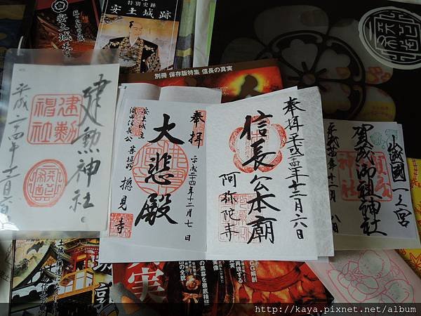 DSCN4521