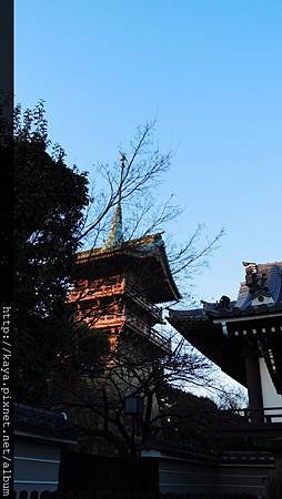 白天的大雲院
