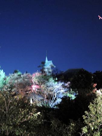 夜的大雲院