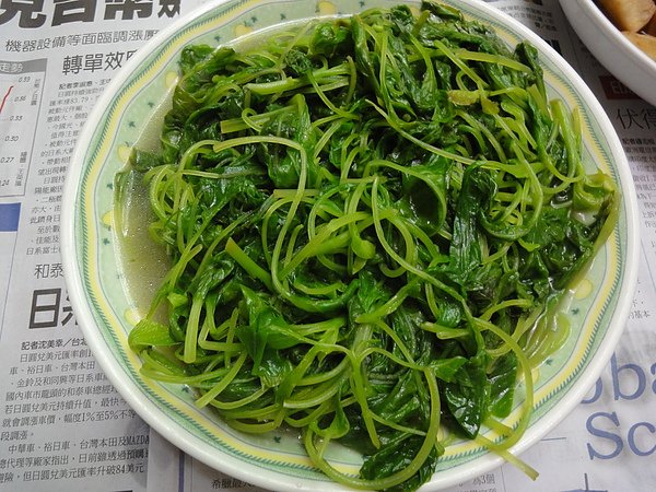 DSC00362.JPG