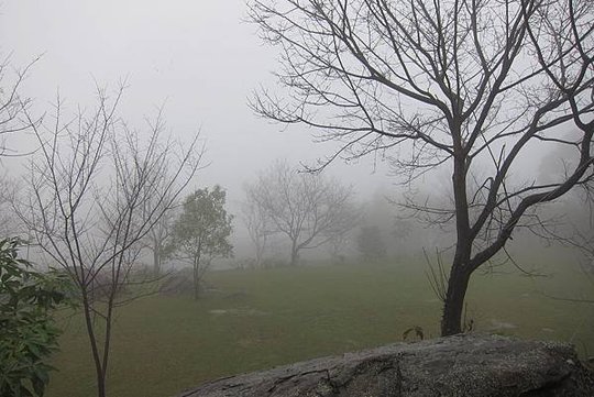 IMG_0386.JPG
