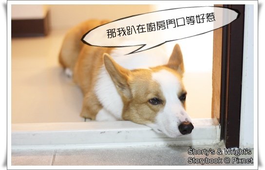 201101 16.JPG