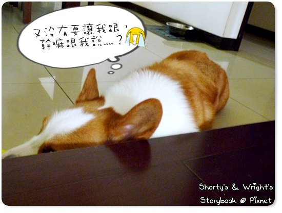 姨 10.JPG