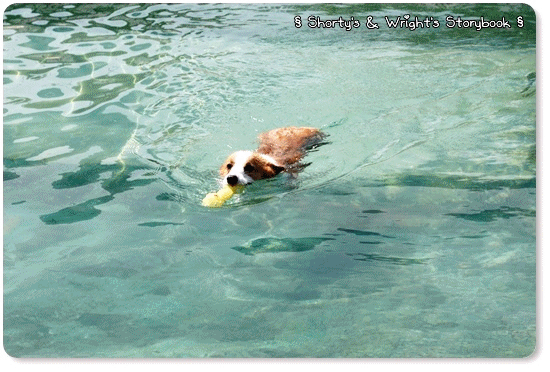 GGWW 201107 5.gif