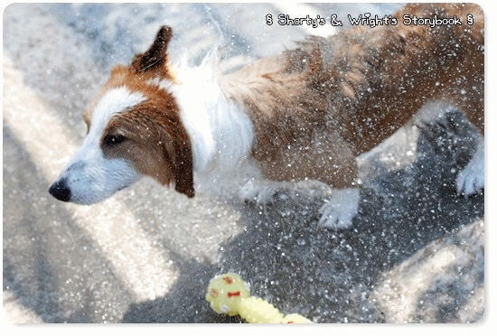 GGWW 201107 7.gif