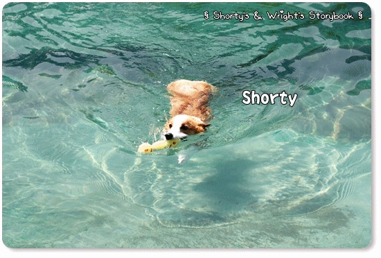 GGWW 201107 15.gif