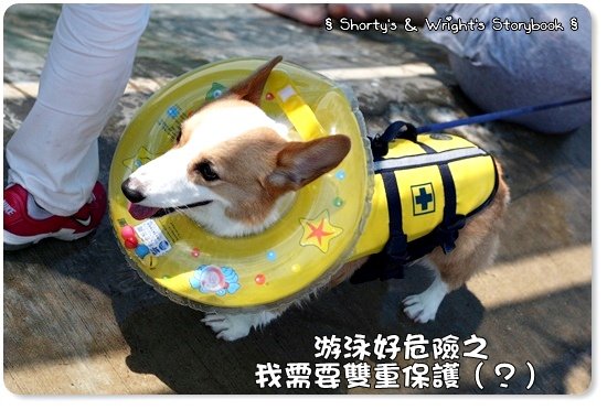 GGWW 201107 31.JPG