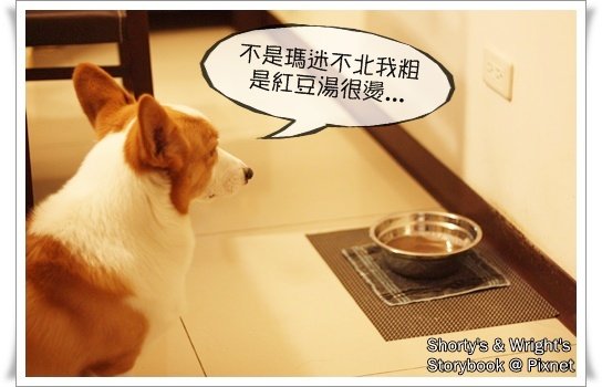 201101 21.JPG