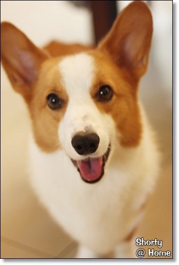 兔子 5.JPG