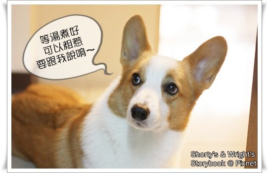 201101 17.JPG
