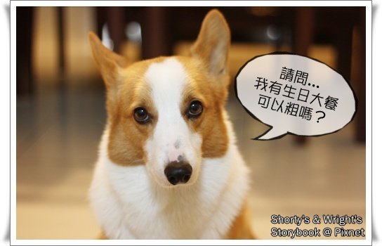 201101 11.JPG