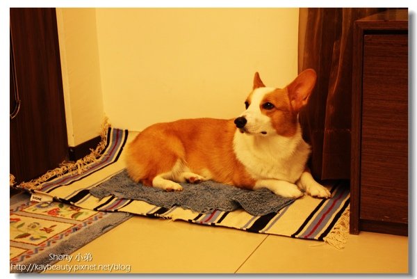 nite wait 1.jpg