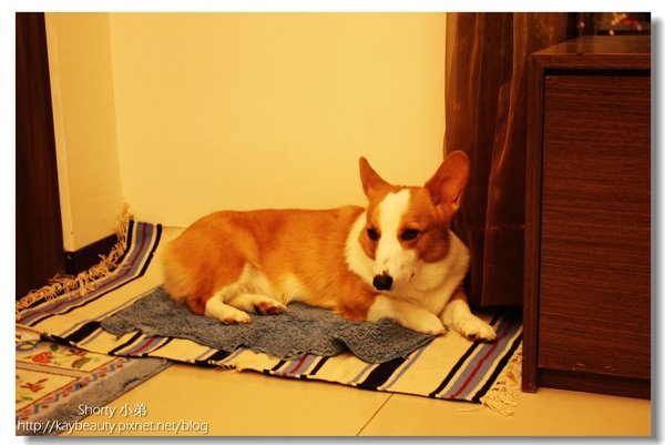 nite wait 3.jpg