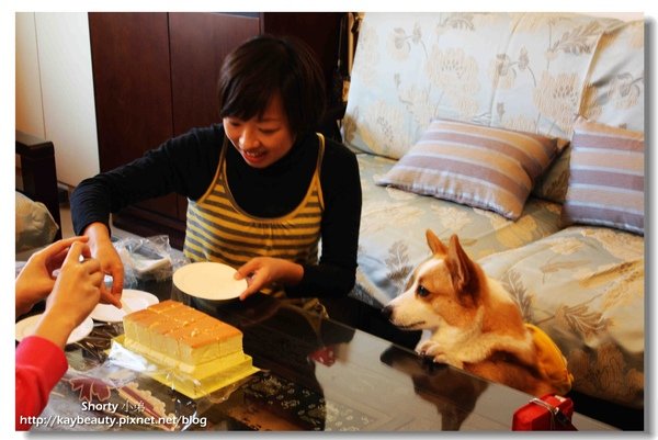 Shorty生日 16.jpg
