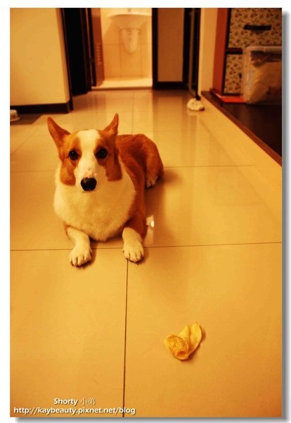 Shorty生日 49.jpg