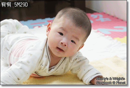 5M29D 3.gif